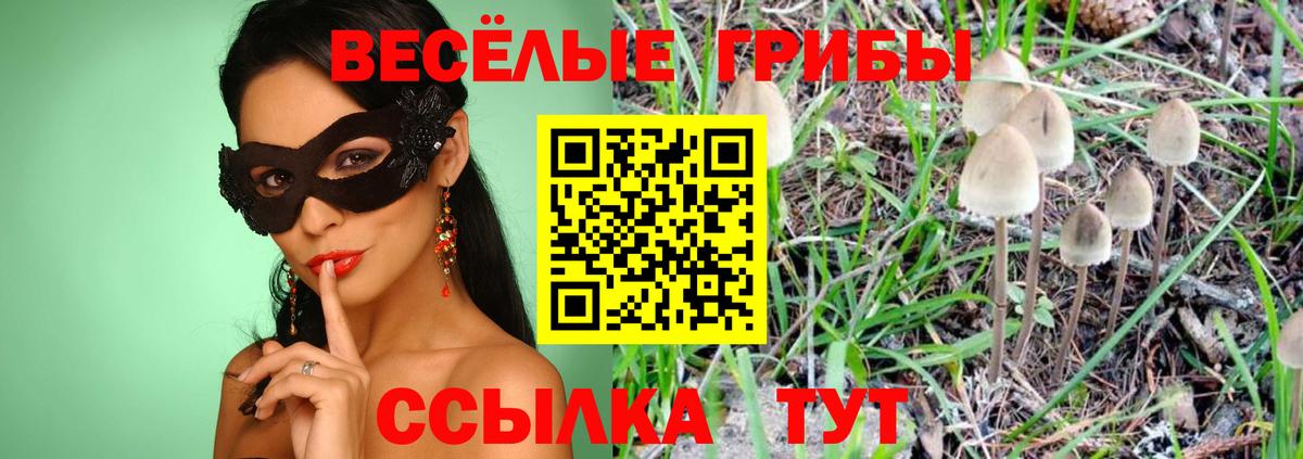 Галлюциногенные грибы GOLDEN TEACHER  Вход с VPN  Уссурийск 