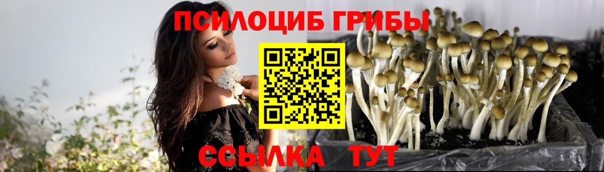 Галлюциногенные грибы мицелий Уссурийск